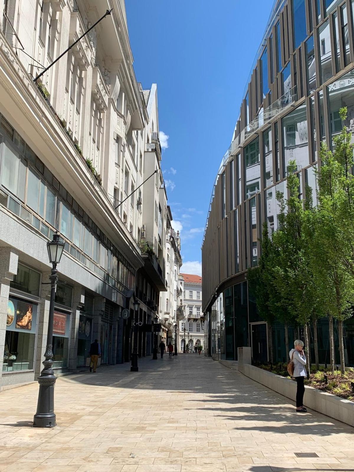 Apartament Lovely In The Heart Of Downtown