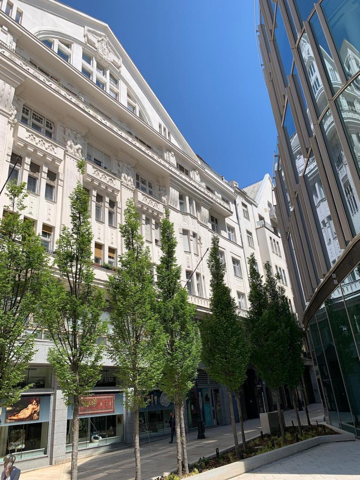 Apartament Lovely In The Heart Of Downtown *